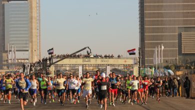 Photo of وفد الإمارات يصل غداً إلى القاهرة استعدادًا لانطلاق سباق زايد الخيري